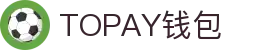 TOPAY钱包 - 安全便捷的个人财务管理工具